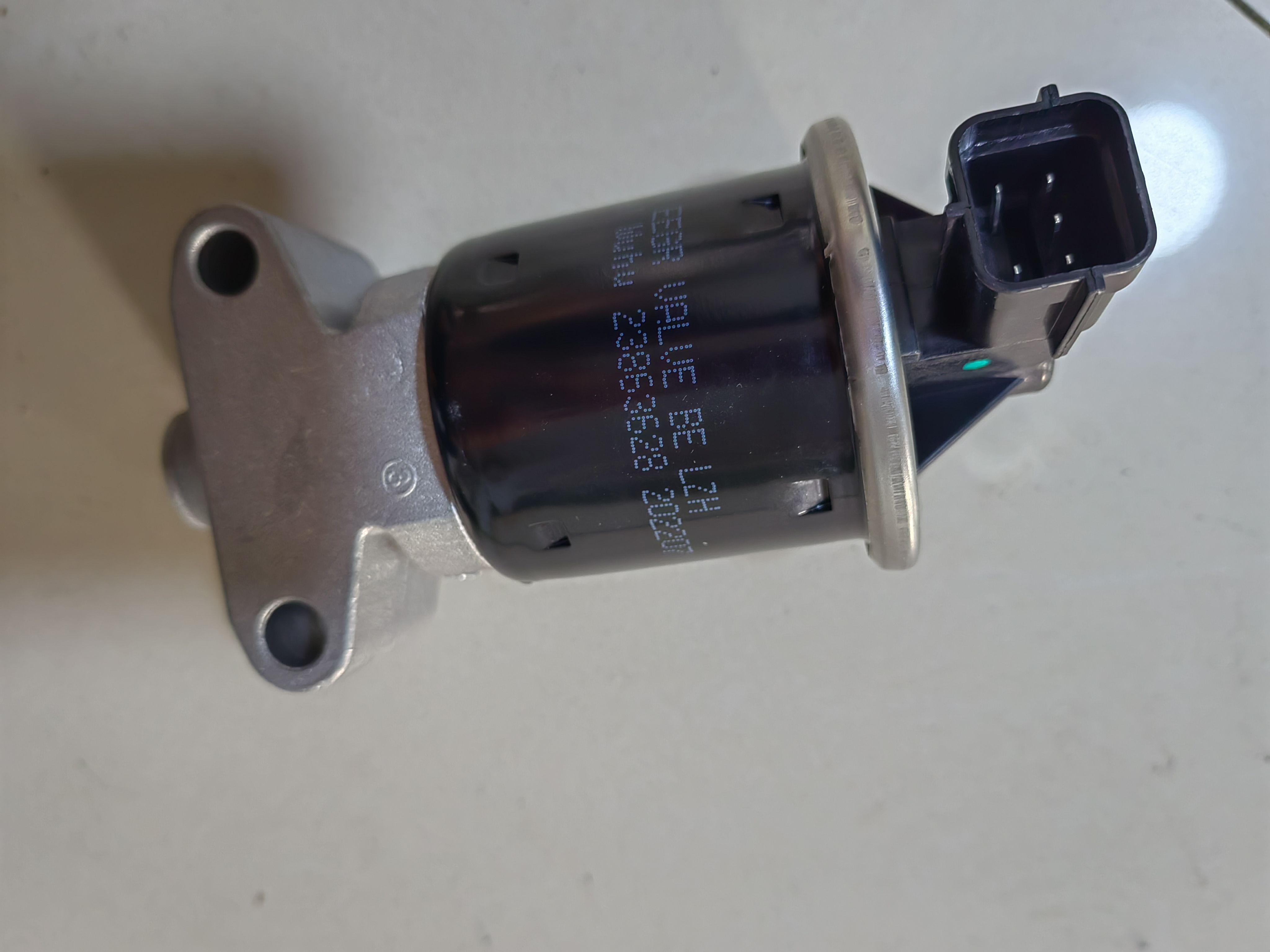 صورة_20231128154950