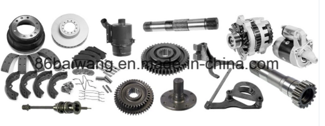 جميع العناصر أجزاء النطاق الكامل ملحقات الشاحنات ذات المدى الكامل عناصر ملائمة لسلسلة شاحنات أومان